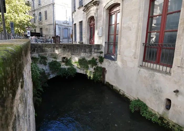 Charmant Studio 25 M2 Centre Ville Avignon