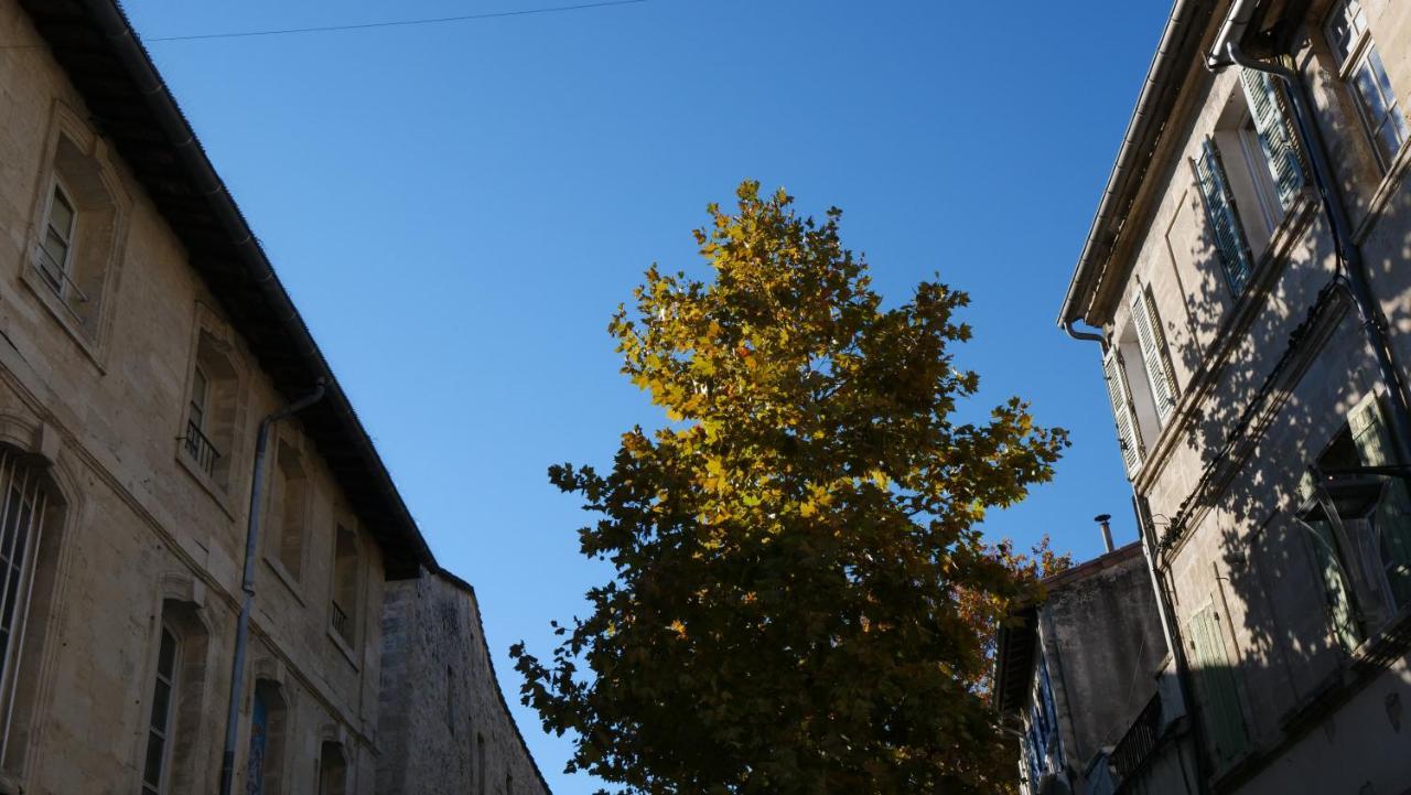 25 M2 Centre Apartment Avignon